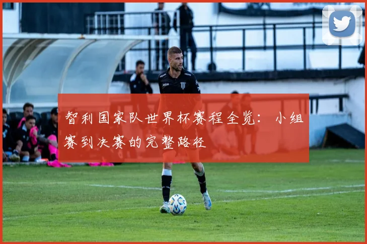 智利国家队世界杯赛程全览：小组赛到决赛的完整路径