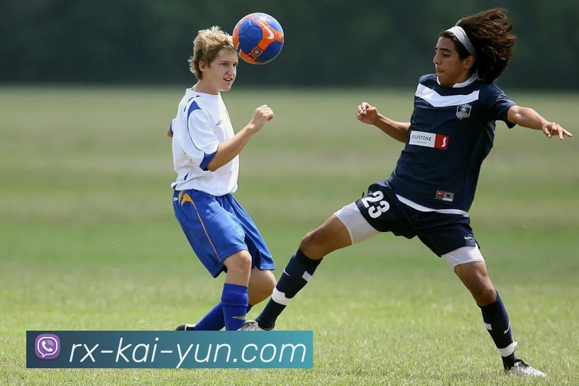 开云app平台生态图