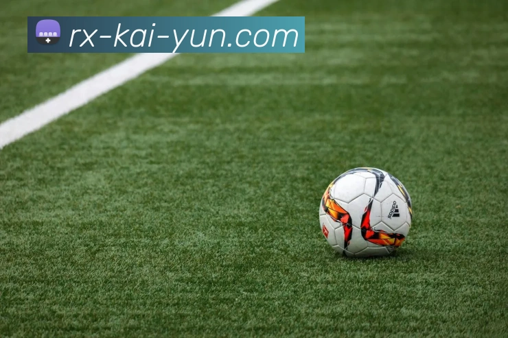 开云appAPP 封面图